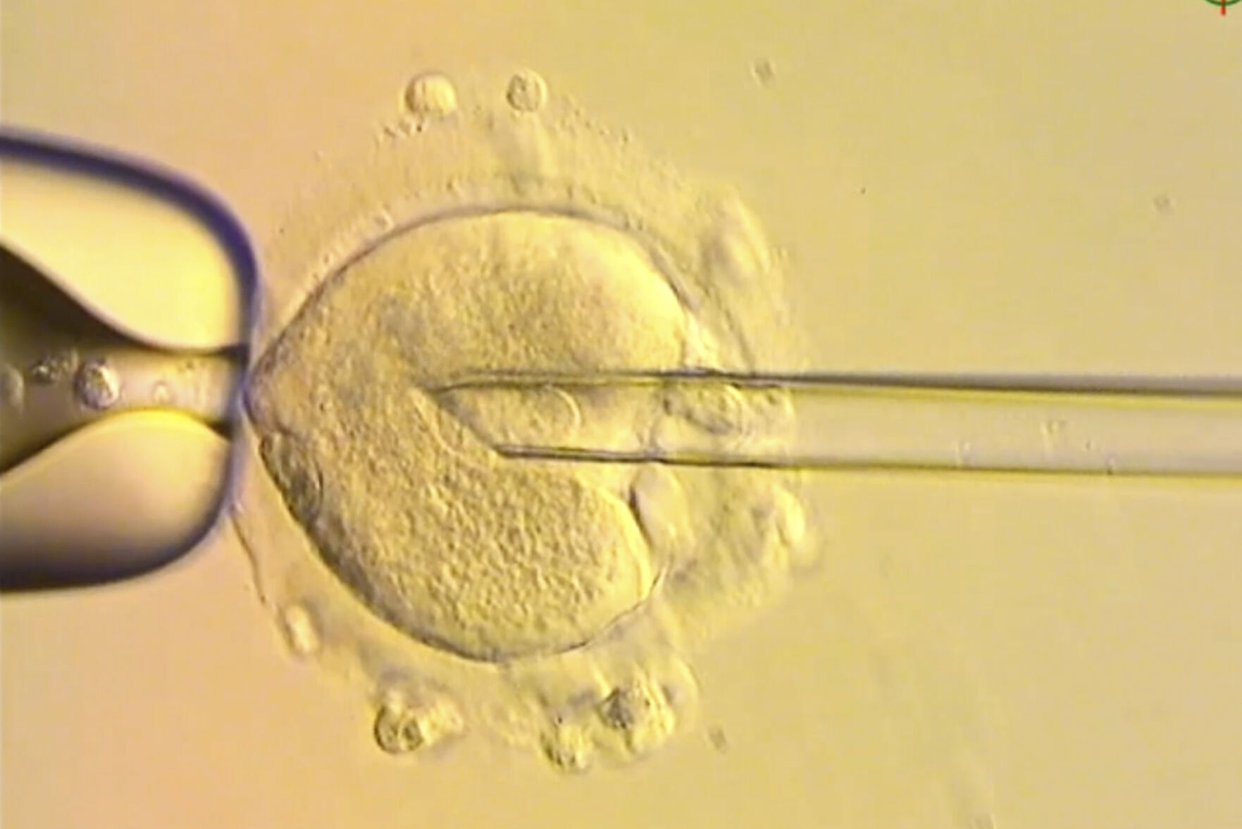 Three Person Baby